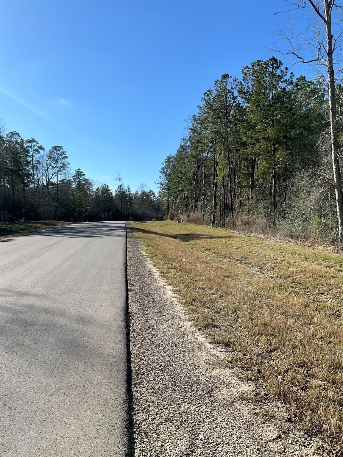 175 Exploration Road Willis, TX 77378 - Photo 5 of 5