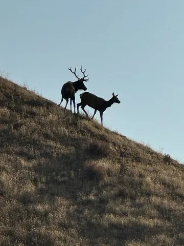 $2,699,900 | 19825 New Idria Road, Paicines, CA 95043