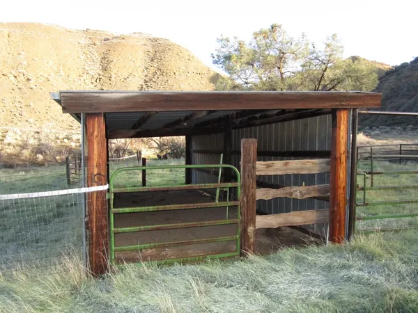 a view of a lush green forest