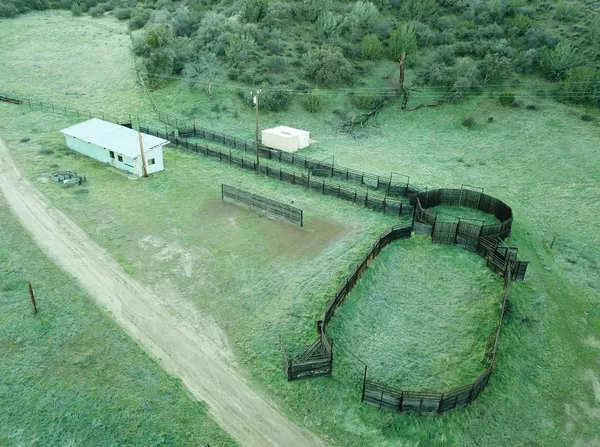a view of a dry yard