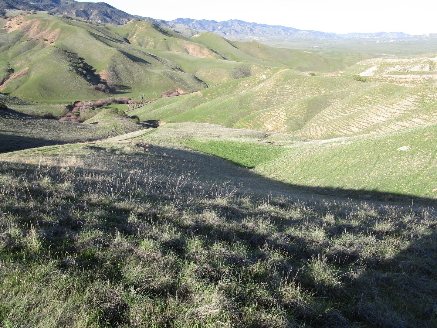 19825 New Idria Road Paicines, CA 95043 - Photo 34 of 35