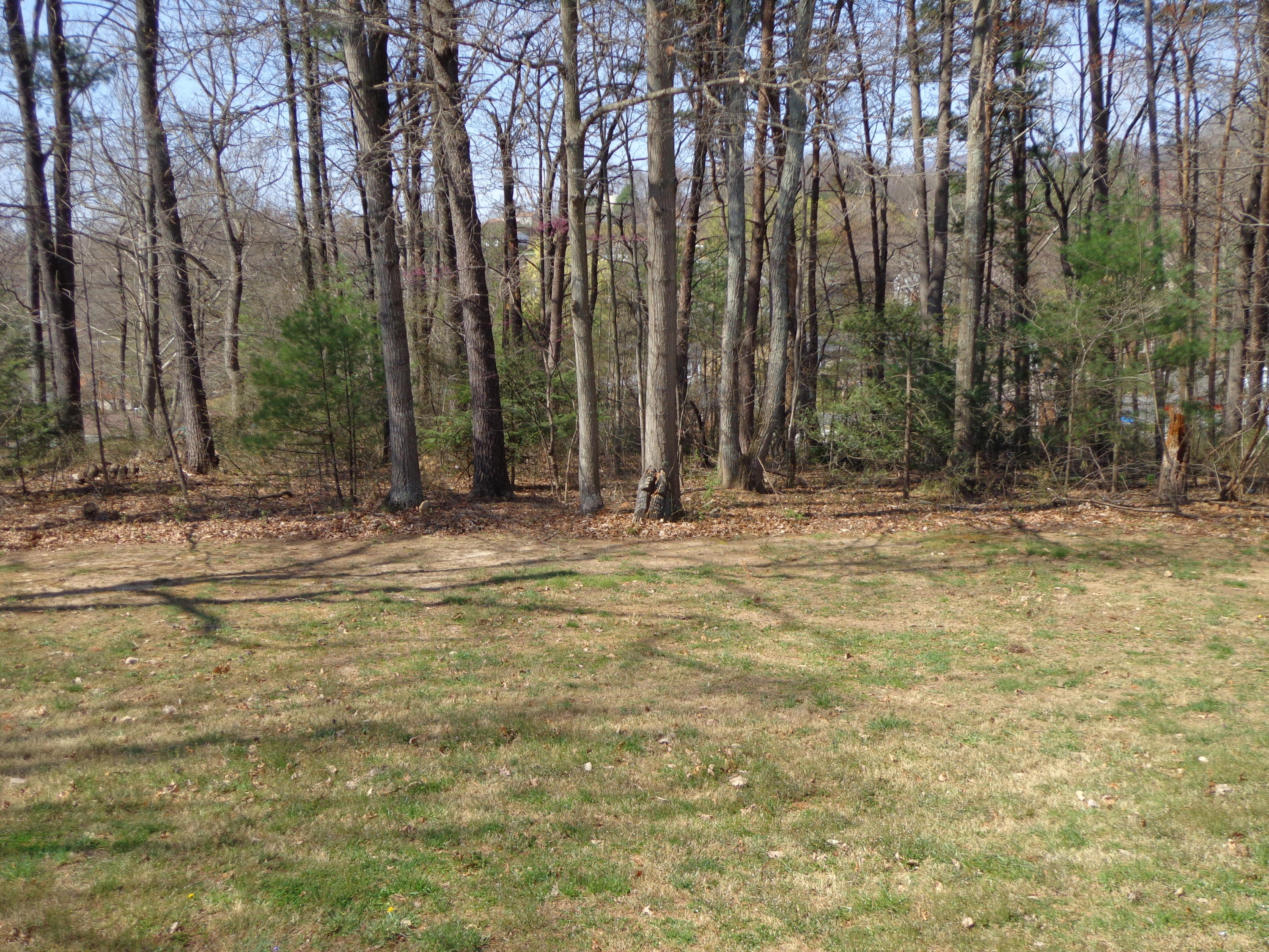 245 Fennel Road Buchanan, VA 24066 - Photo 1 of 1 DSC01348