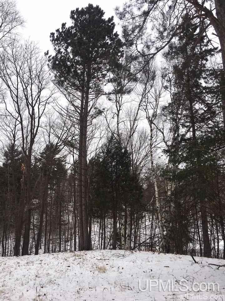Tbd Tbd Birch Ishpeming, MI 49849 - Photo 3 of 6