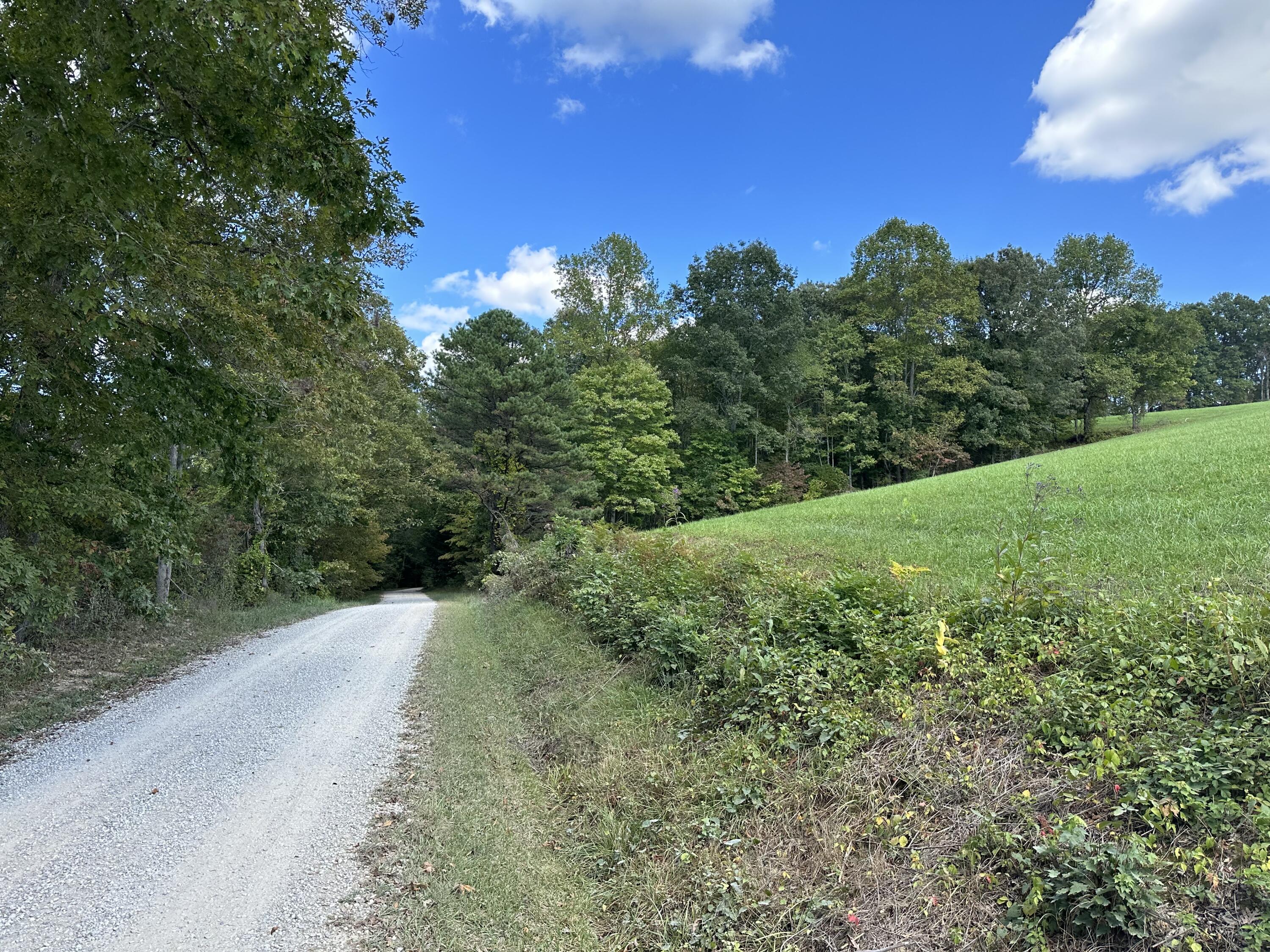 Lot 2 Baldwin Road McKee, KY 40447 - Photo 17 of 45 IMG_8800