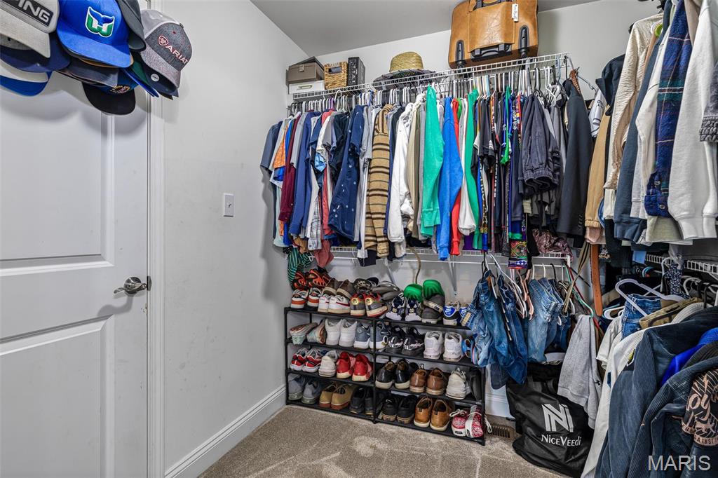 105 Shepherd Mountain Road Farmington, MO 63640 - Photo 24 of 46