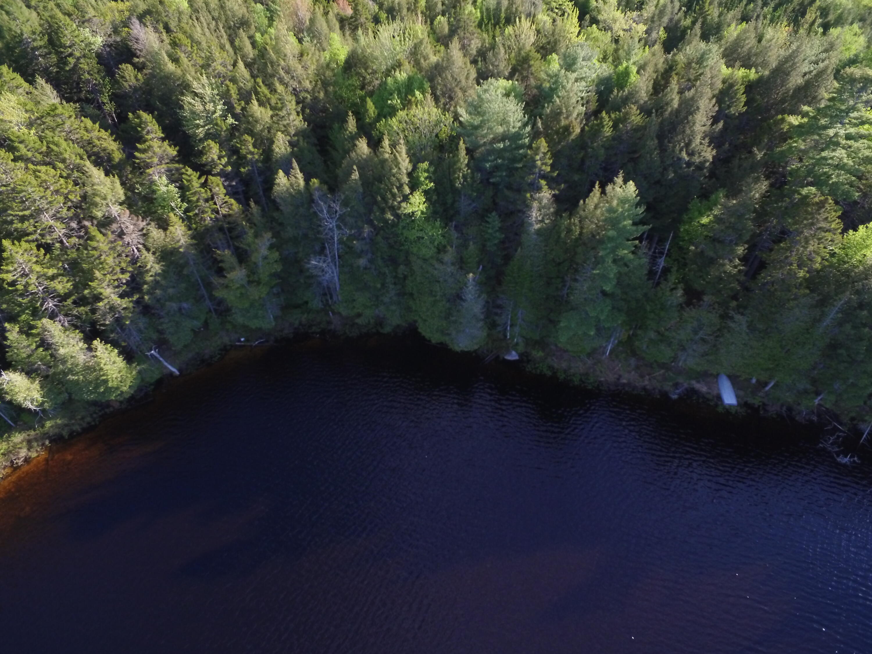 Lot 2 Horseshoe Lake Road Lakeville, ME 04487 - Photo 11 of 26 DJI_0049