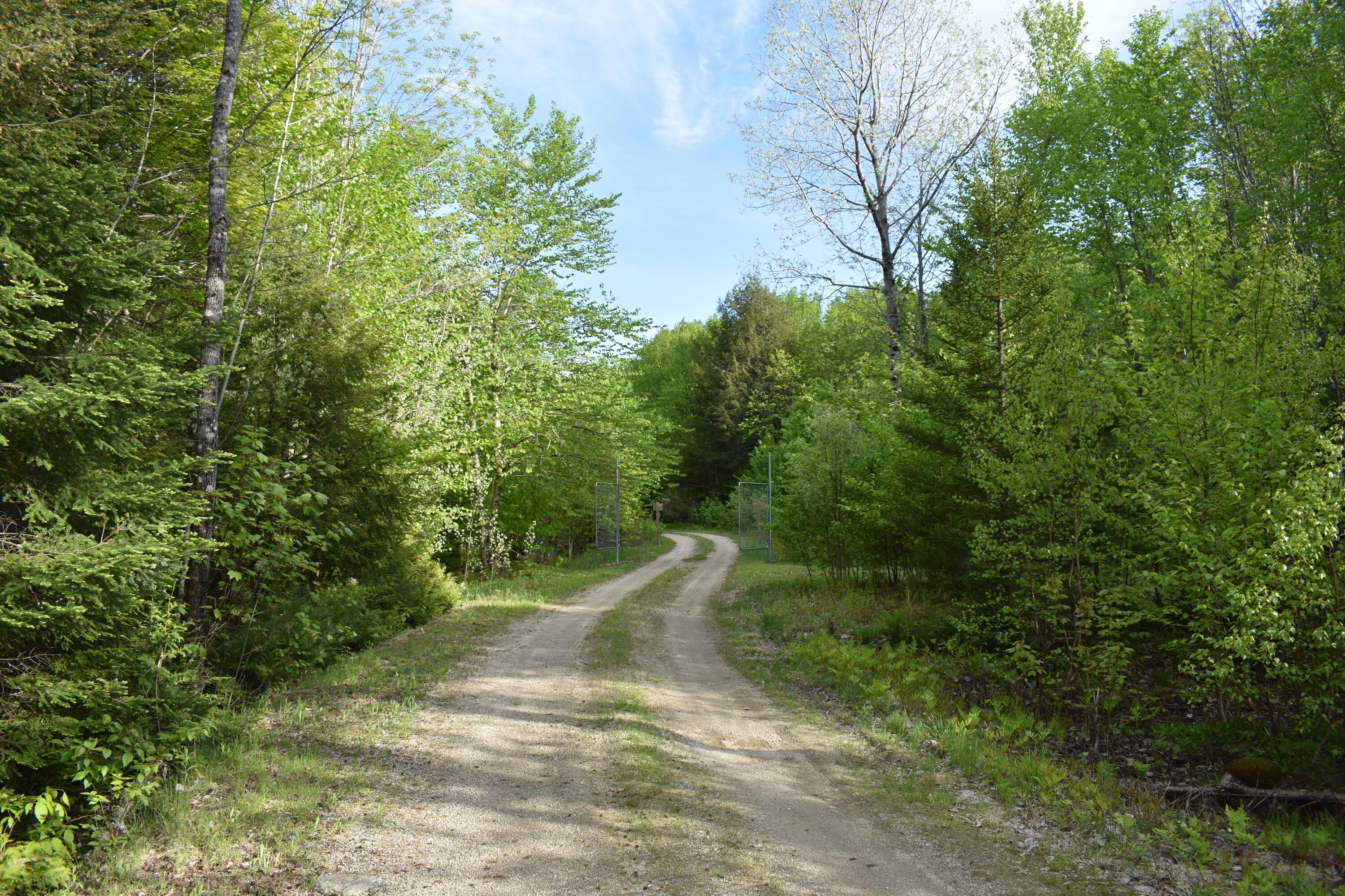 Lot 2 Horseshoe Lake Road Lakeville, ME 04487 - Photo 14 of 26 DSC_0095