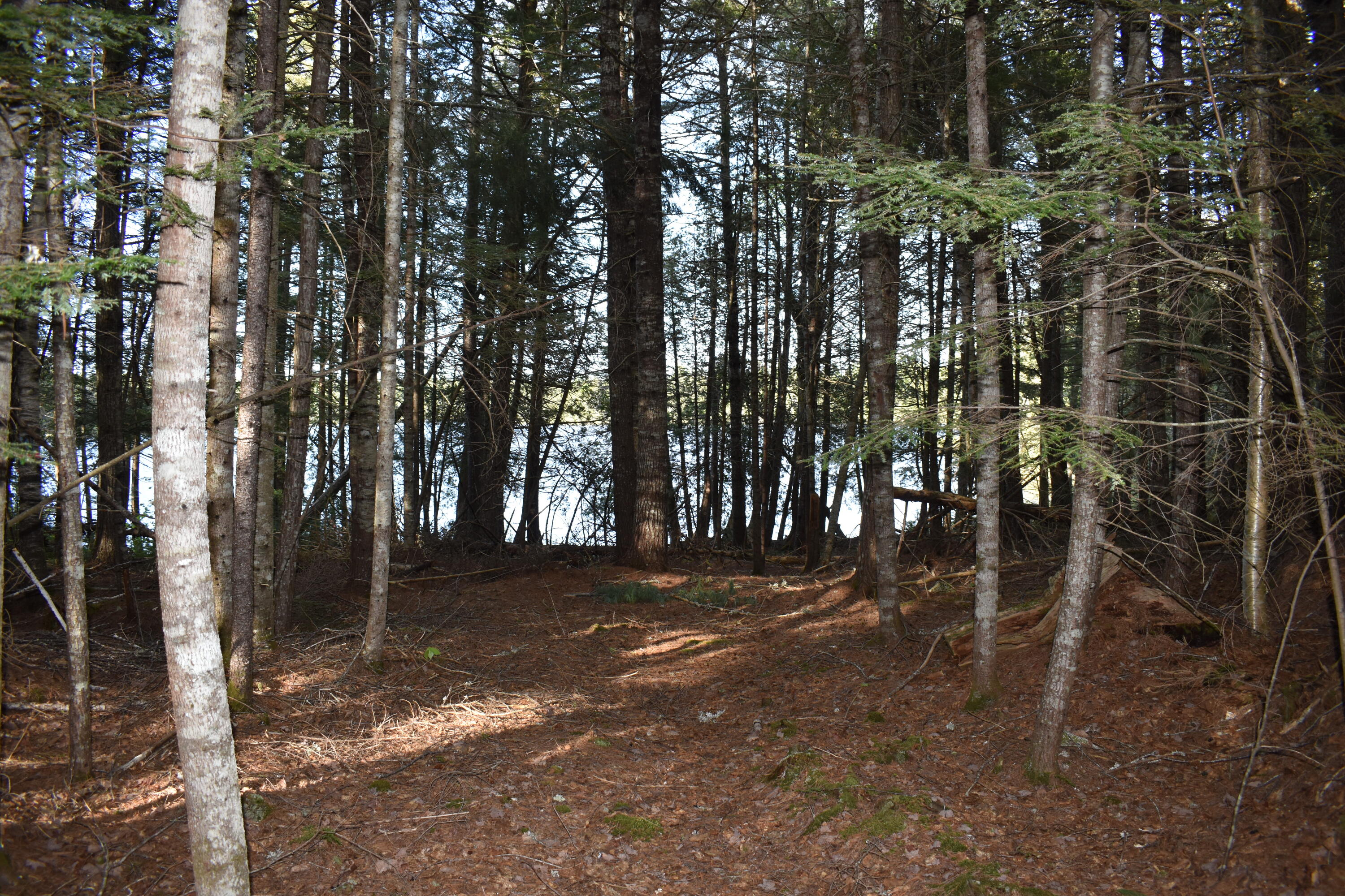 Lot 2 Horseshoe Lake Road Lakeville, ME 04487 - Photo 16 of 26 DSC_0098