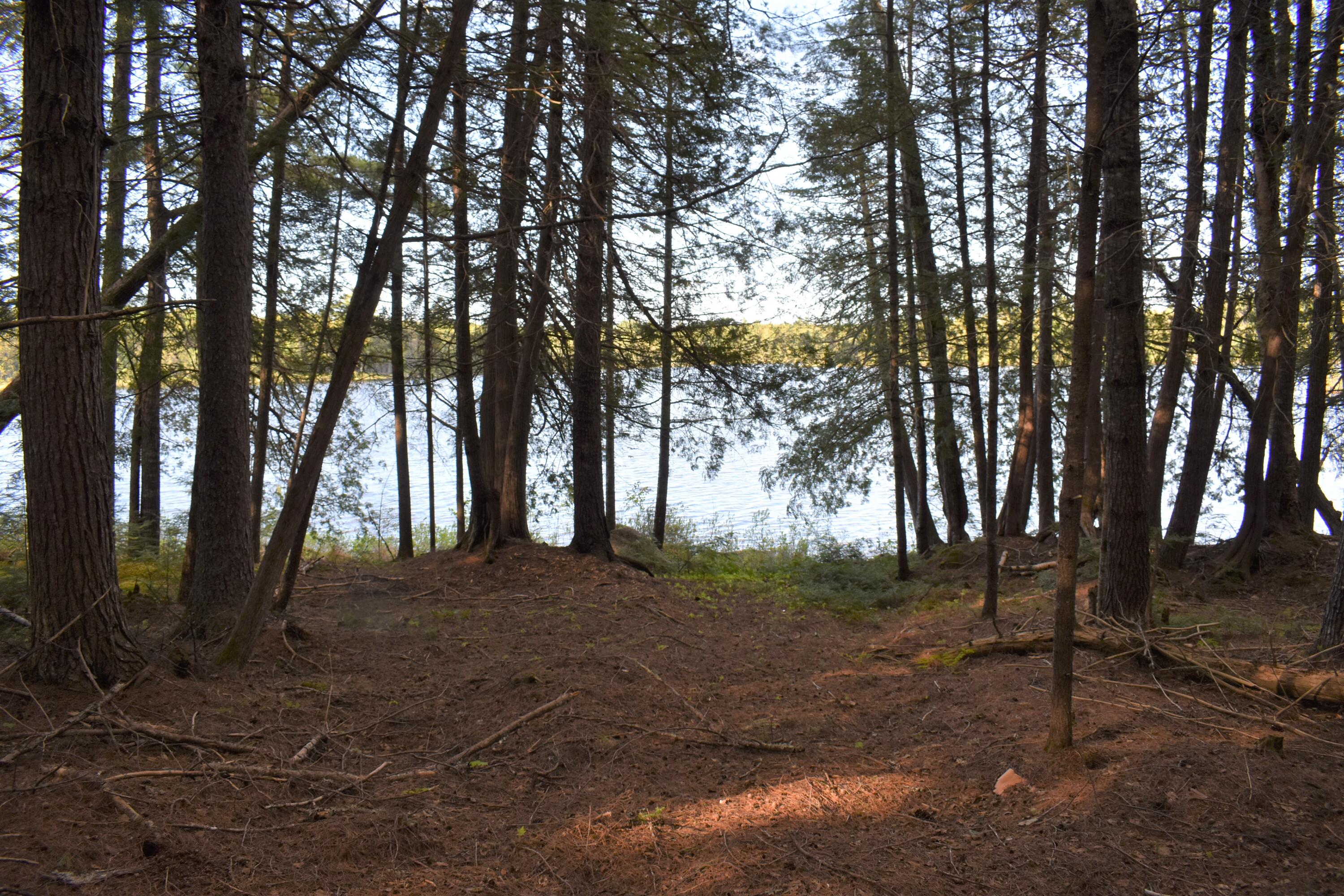 Lot 2 Horseshoe Lake Road Lakeville, ME 04487 - Photo 17 of 26 DSC_0100