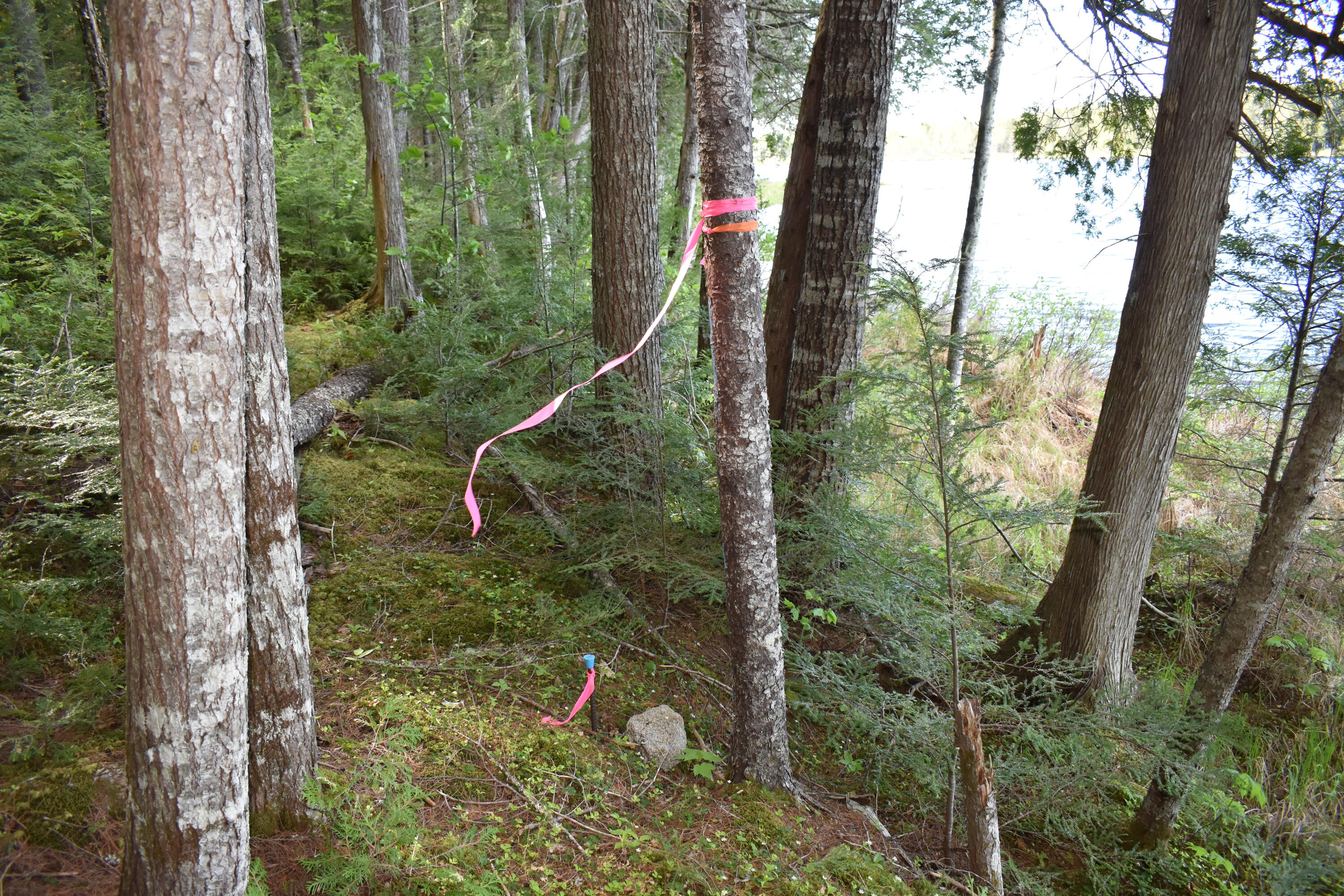 Lot 2 Horseshoe Lake Road Lakeville, ME 04487 - Photo 18 of 26 DSC_0105