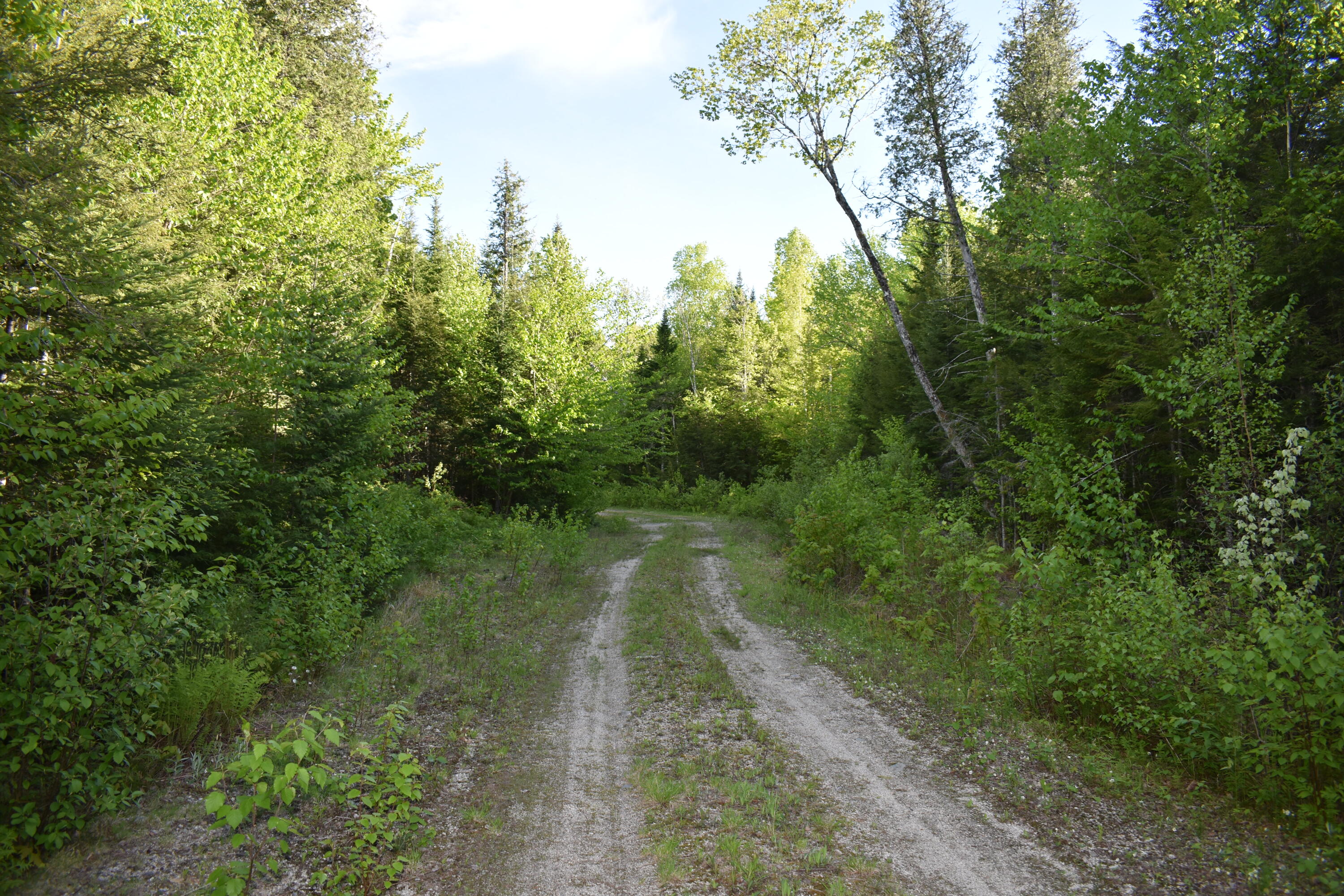 Lot 2 Horseshoe Lake Road Lakeville, ME 04487 - Photo 20 of 26 DSC_0107