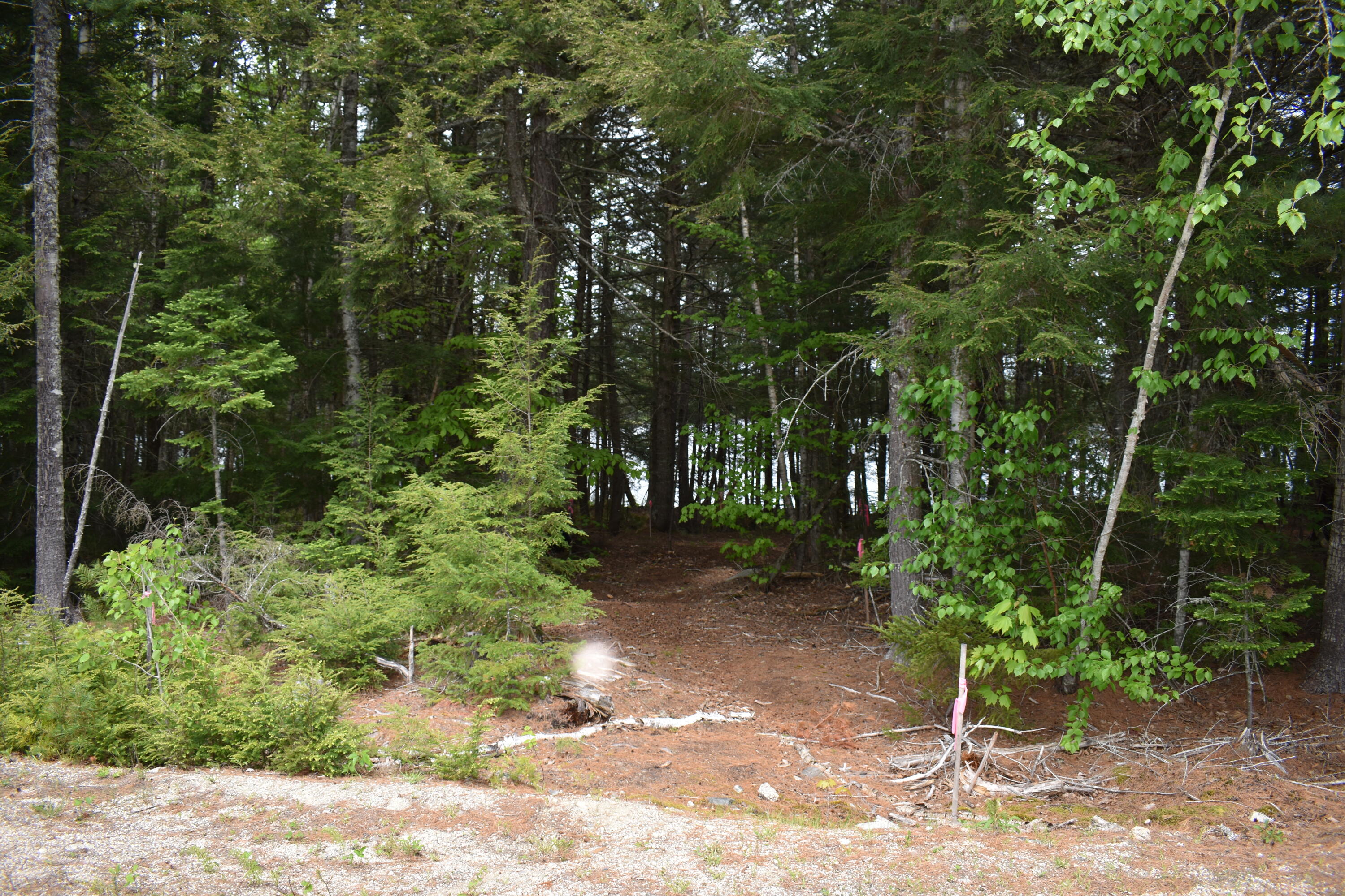 Lot 2 Horseshoe Lake Road Lakeville, ME 04487 - Photo 21 of 26 DSC_0201