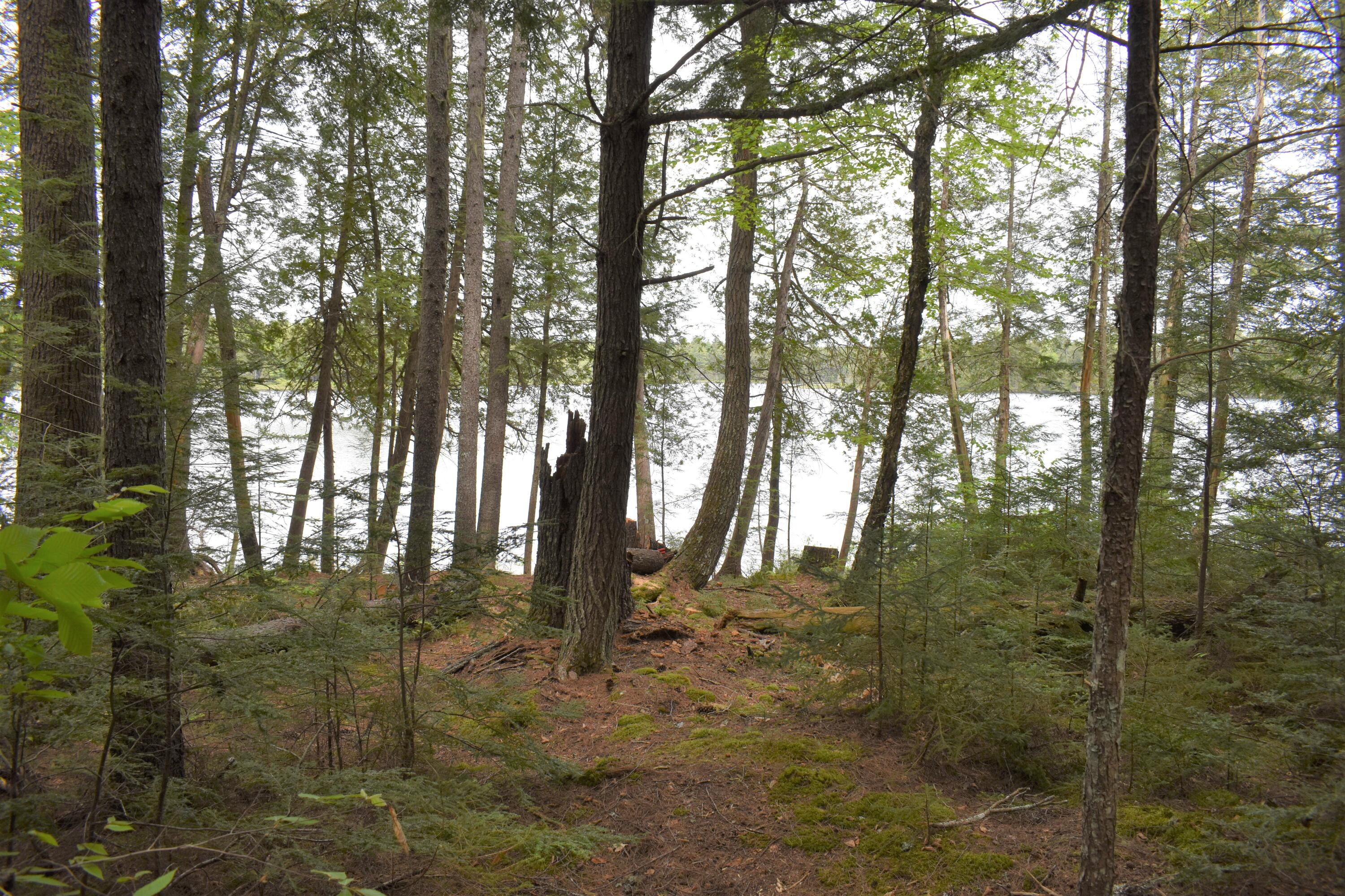 Lot 2 Horseshoe Lake Road Lakeville, ME 04487 - Photo 23 of 26 DSC_0206