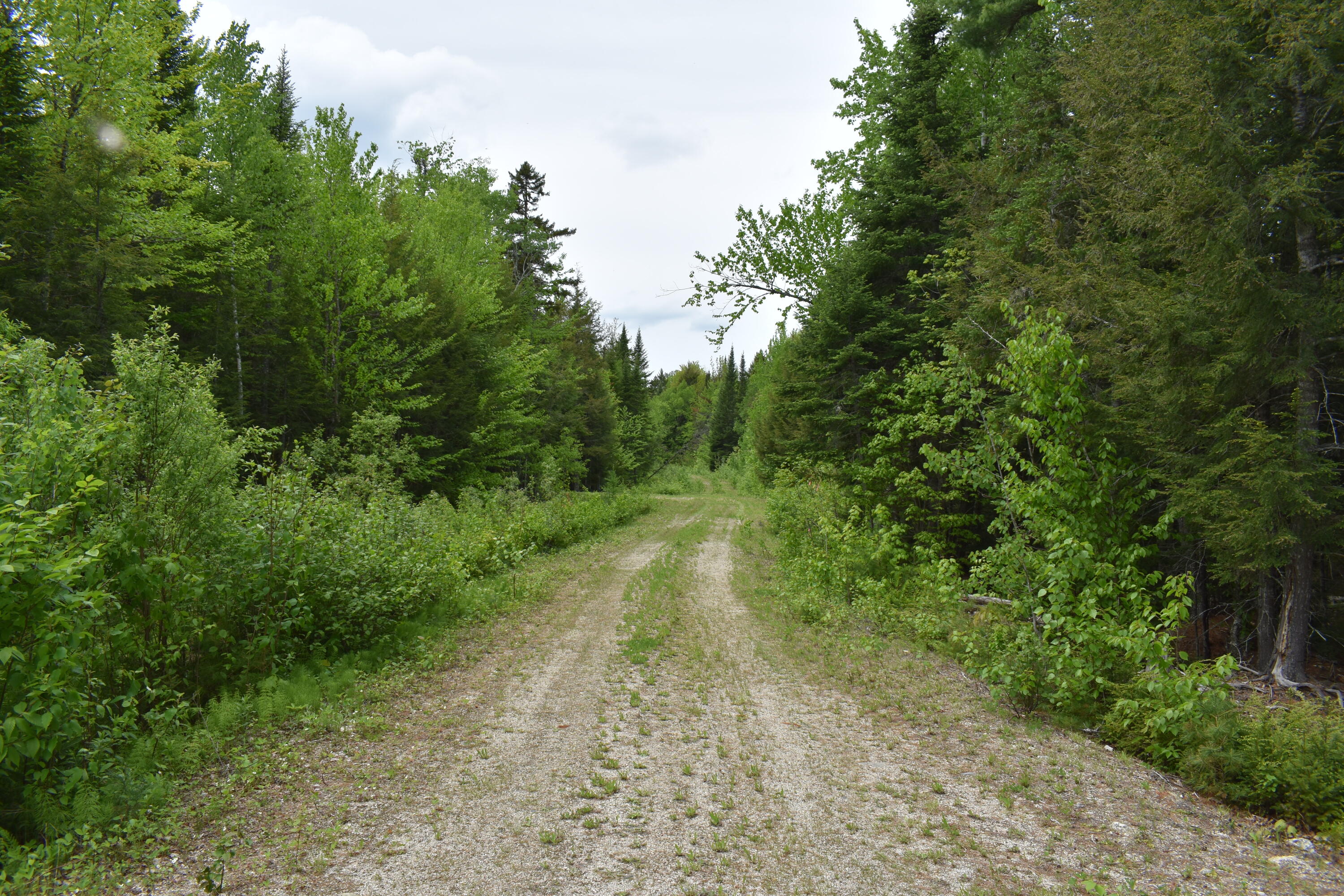Lot 2 Horseshoe Lake Road Lakeville, ME 04487 - Photo 25 of 26 DSC_0209