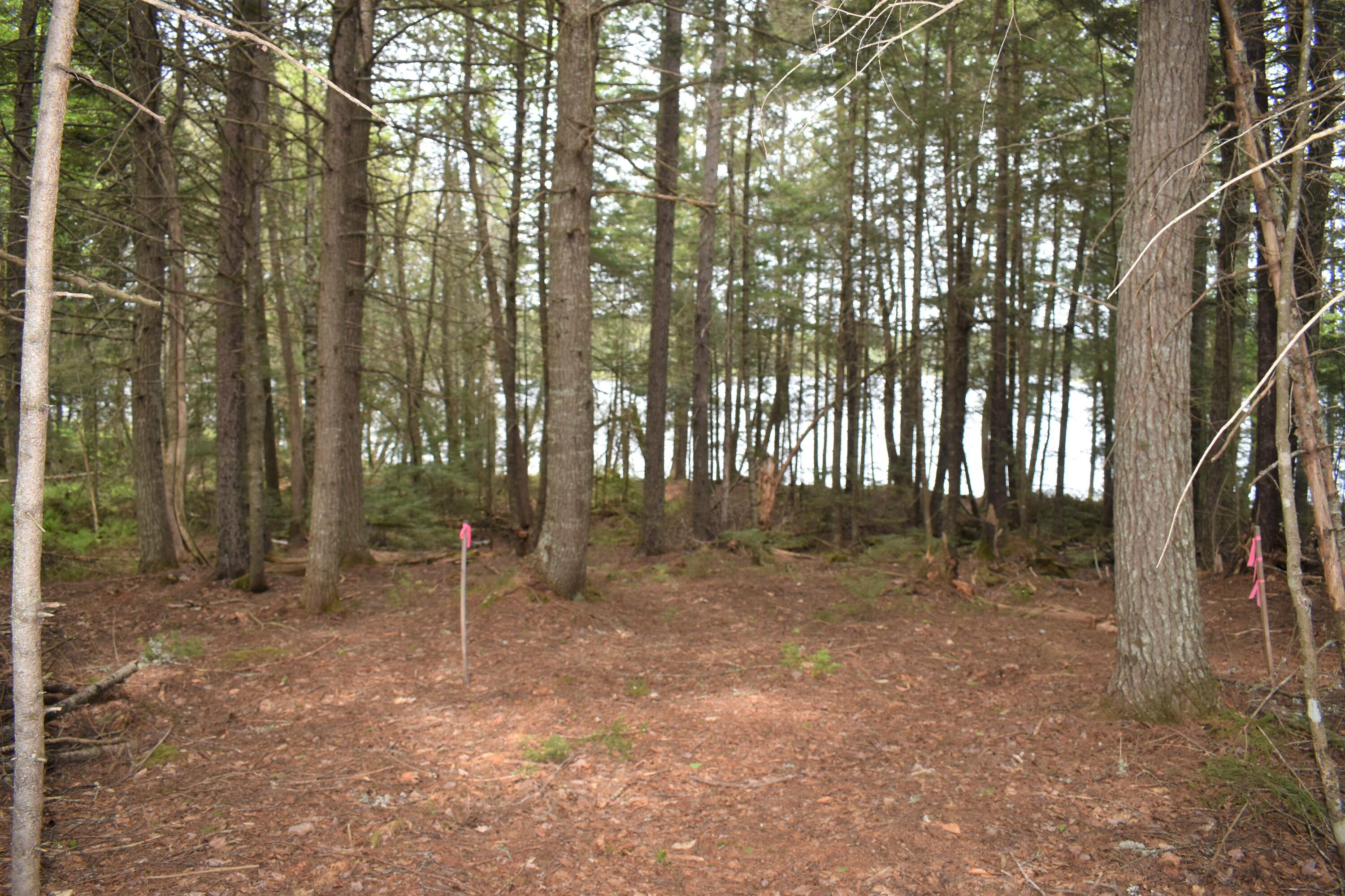 Lot 2 Horseshoe Lake Road Lakeville, ME 04487 - Photo 4 of 26 DSC_0202