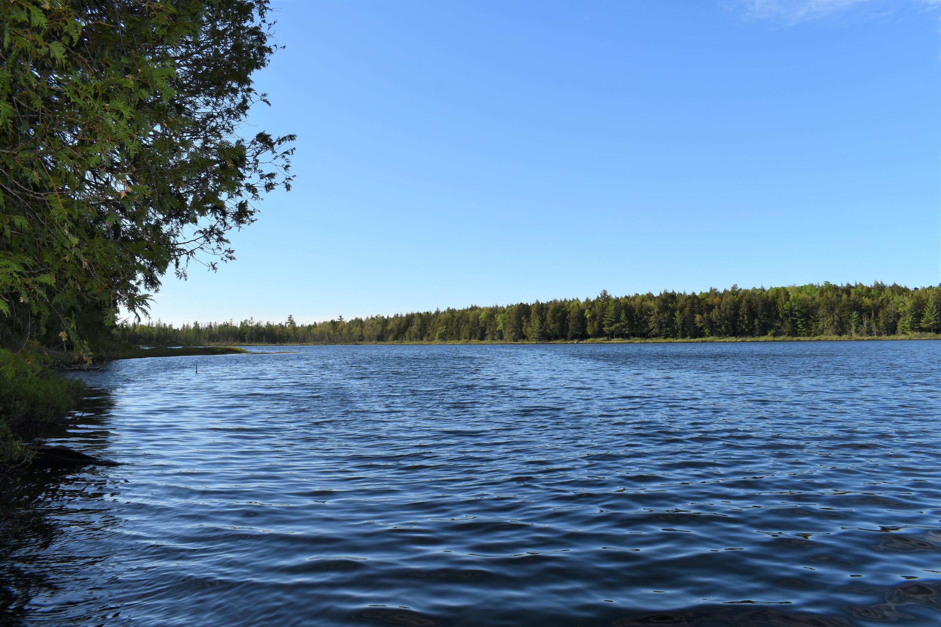 Lot 2 Horseshoe Lake Road Lakeville, ME 04487 - Photo 6 of 26 DSC_0102