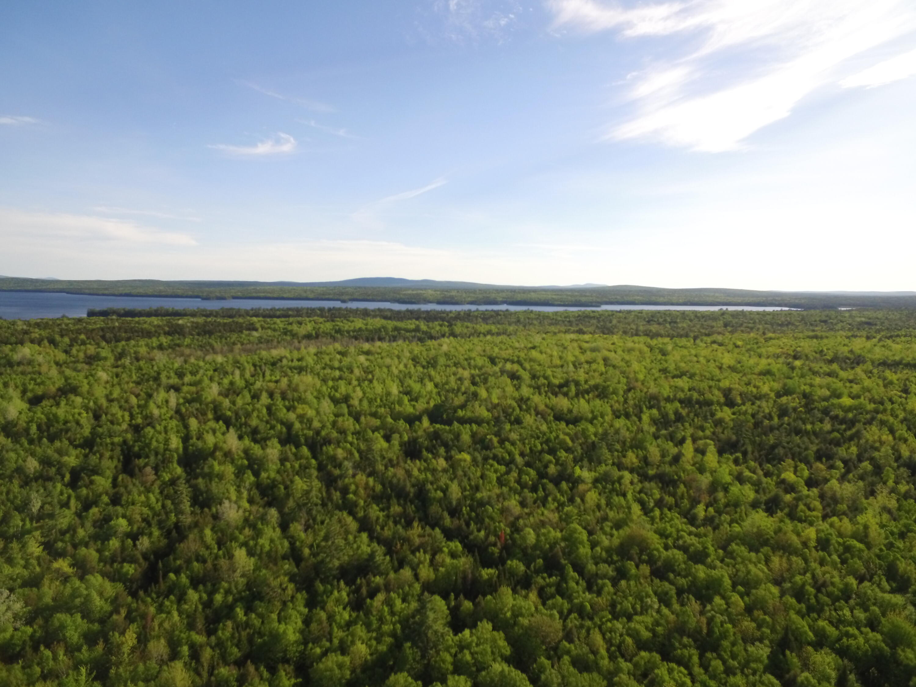 Lot 2 Horseshoe Lake Road Lakeville, ME 04487 - Photo 10 of 26 DJI_0048