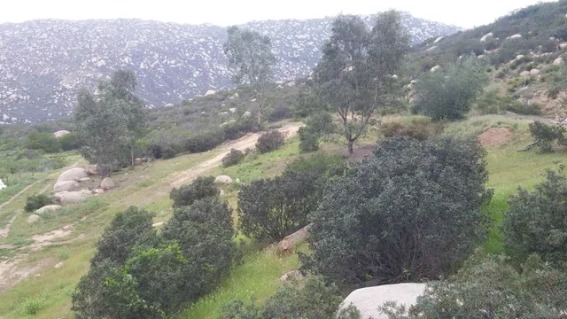 a view of a fire pit in middle of the green field