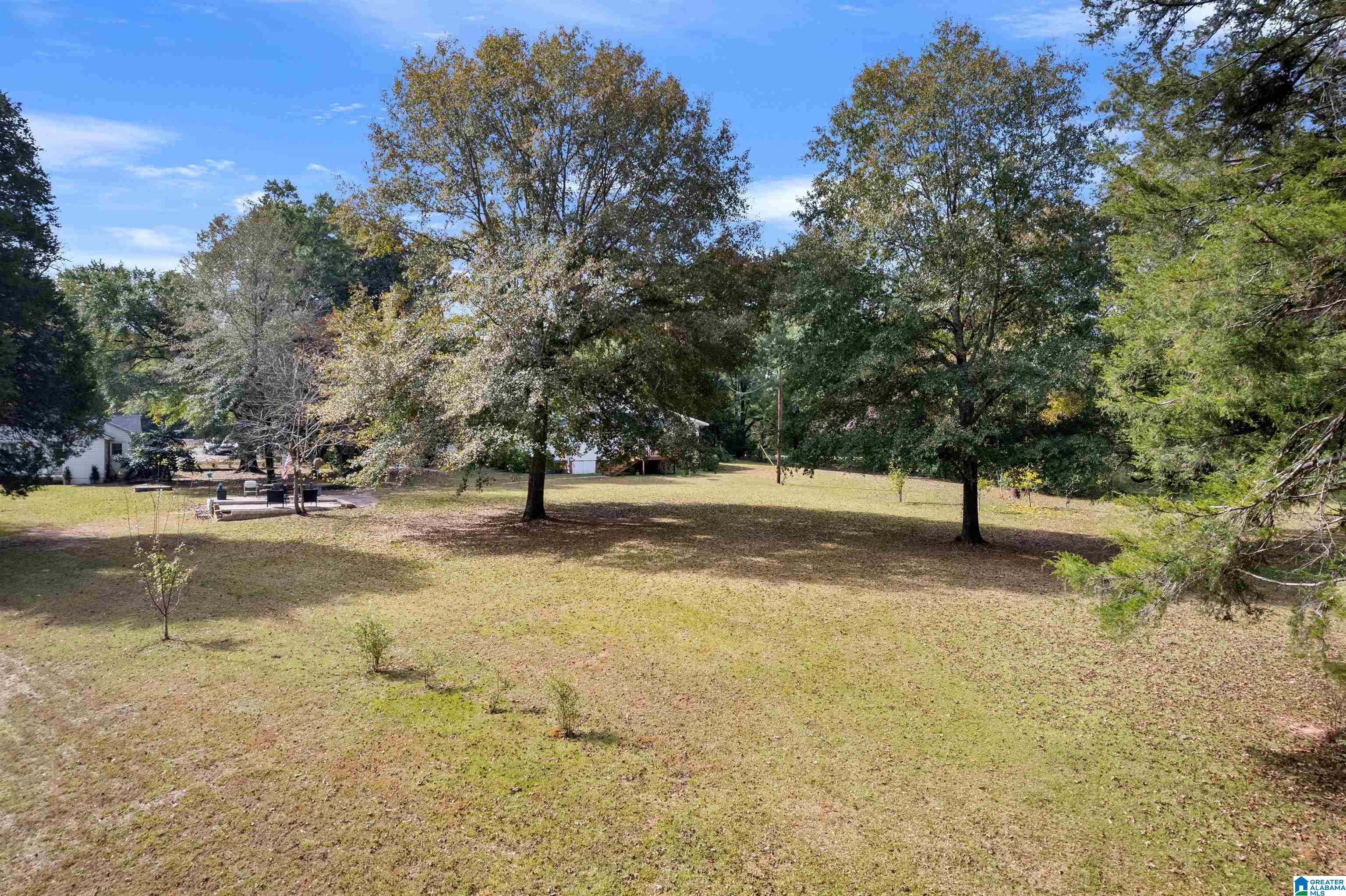 3650 Highway 31 Verbena, AL 36091 - Photo 26 of 36