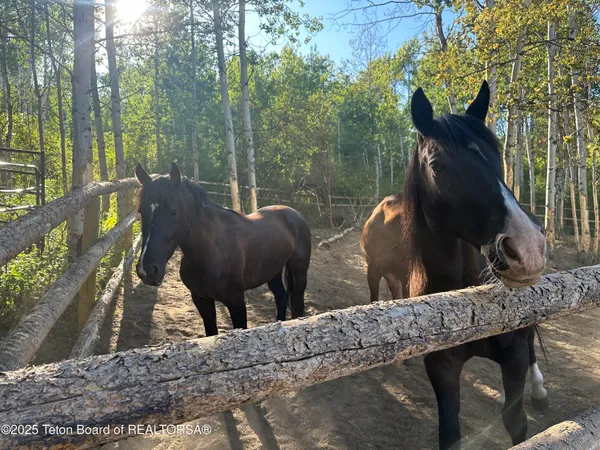 $329,000 | 775 North 4700 East, Ashton, ID 83420