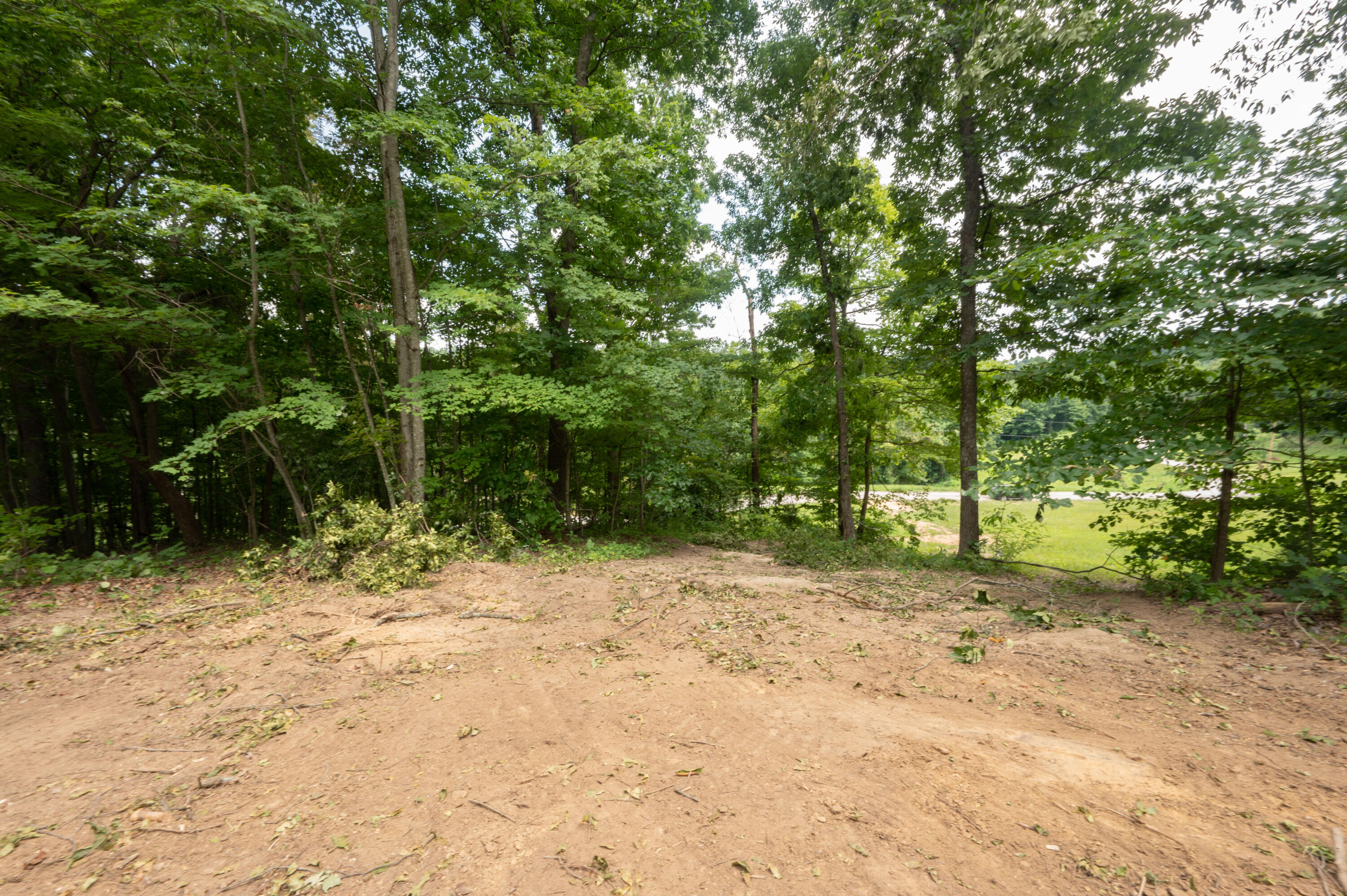 Lot 15 Rock House Ridge Stanton, KY 40380 - Photo 6 of 24 DSC_3835