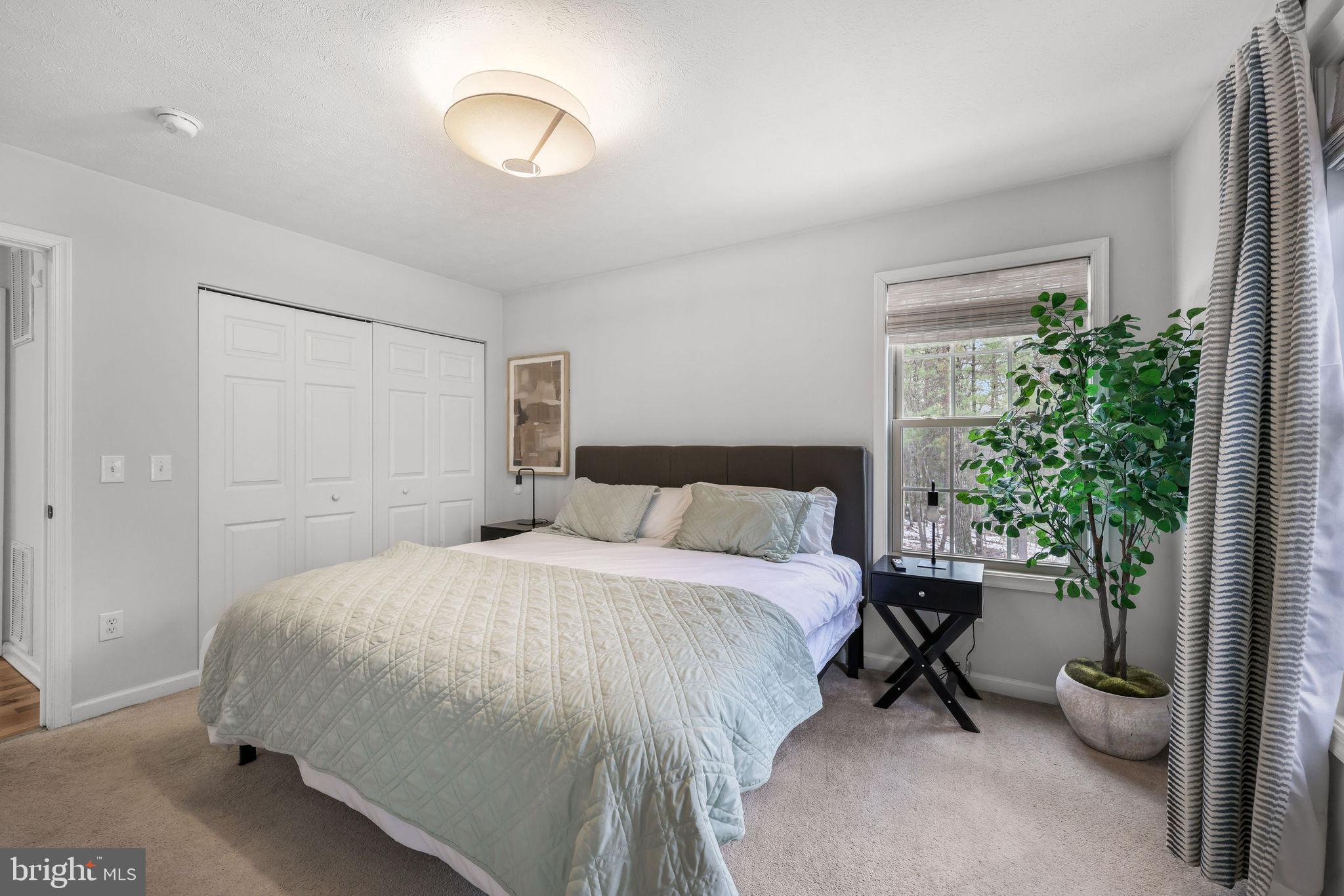 323 Palmer Road Basye, VA 22810 - Photo 4 of 30 a bedroom with a bed and a potted plant