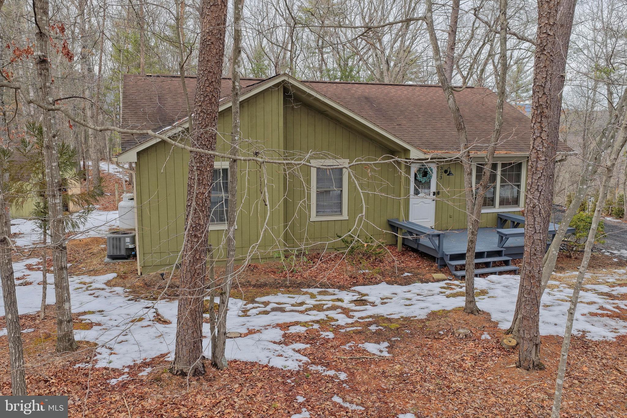 323 Palmer Road Basye, VA 22810 - Photo 5 of 30 a house with trees in the background