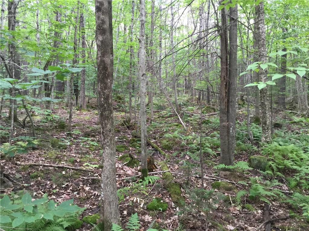 0 Spiller Hill Road Raymond, ME 04071 - Photo 8 of 20 Photo