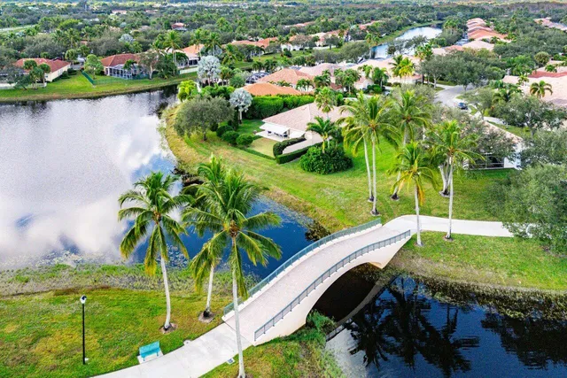 a view of a lake with palm trees