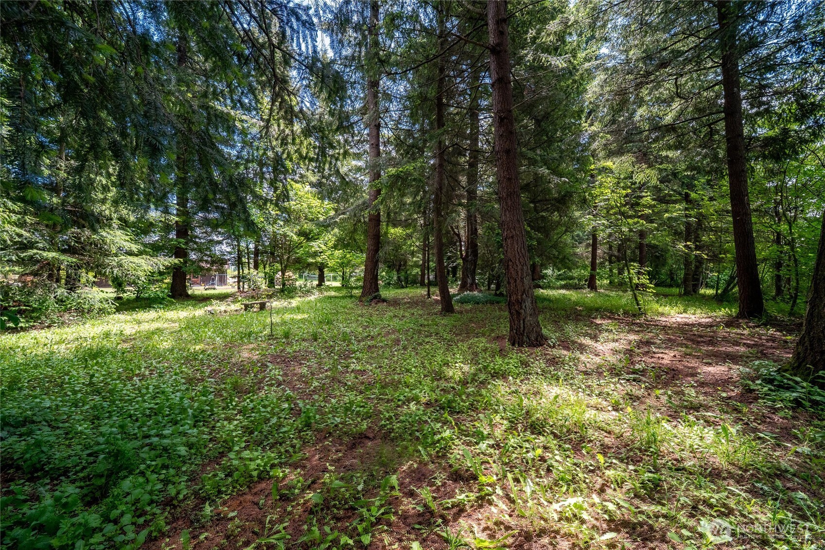 1320 Lunde Road Everson, WA 98247 - Photo 31 of 40