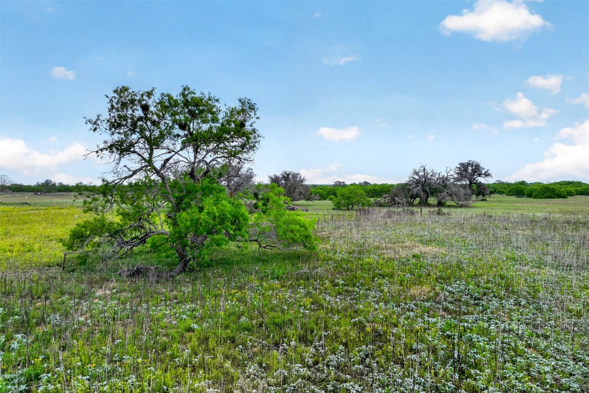 190 Smiley Tx 78159 Smiley, TX 78159 - Photo 12 of 16