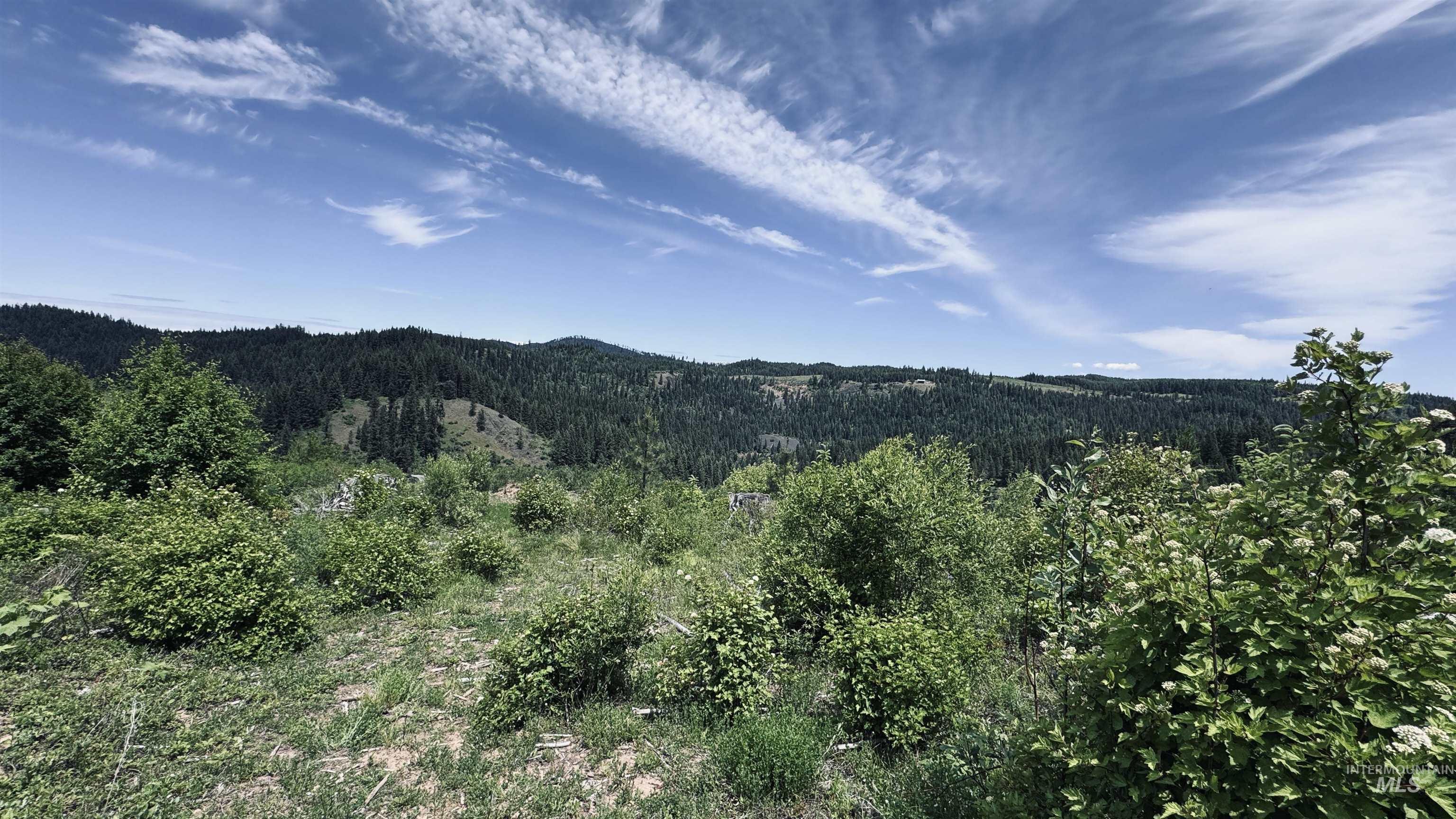 Tbd Glenwood Road Kamiah, ID 83536 - Photo 15 of 50