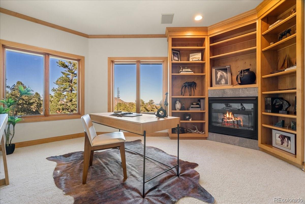 20682 Falcon Wing Road Indian Hills, CO 80454 - Photo 38 of 50 a view of a livingroom with furniture and a bookshelf