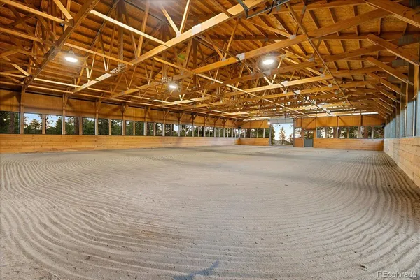 a tree in the middle of a yard