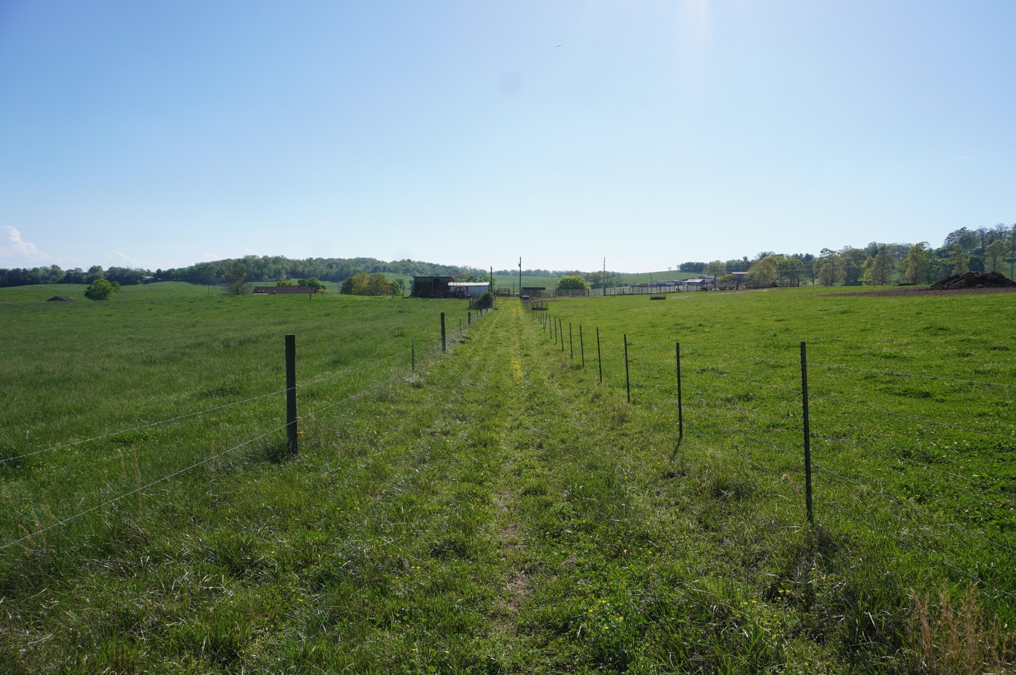 3030 Falcon Road White Pine, TN 37890 - Photo 10 of 44 Gallery Image 10