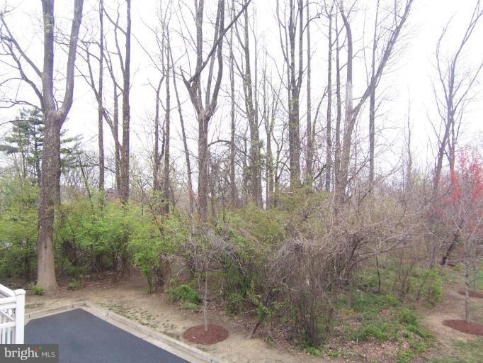 2207 Kimball Place Silver Spring, MD 20910 - Photo 20 of 29 View from Deck