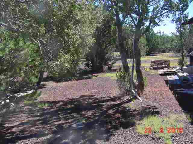 Lot 197 Buffalo Road Show Low, AZ 85901 - Photo 3 of 8