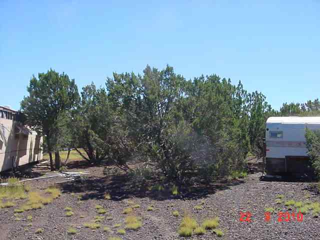 Lot 197 Buffalo Road Show Low, AZ 85901 - Photo 4 of 8