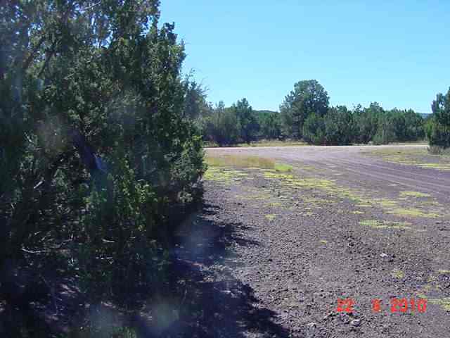 Lot 197 Buffalo Road Show Low, AZ 85901 - Photo 6 of 8