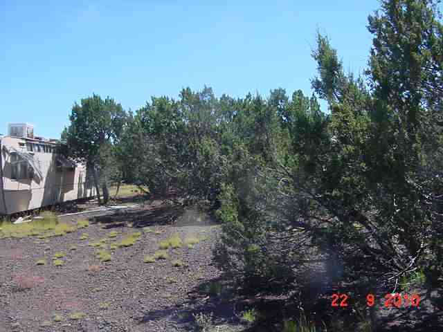 Lot 197 Buffalo Road Show Low, AZ 85901 - Photo 7 of 8
