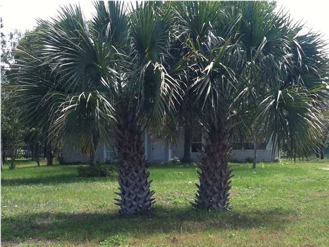 192 River Road Carrabelle, FL 32322 - Photo 30 of 50 Gallery Image 30