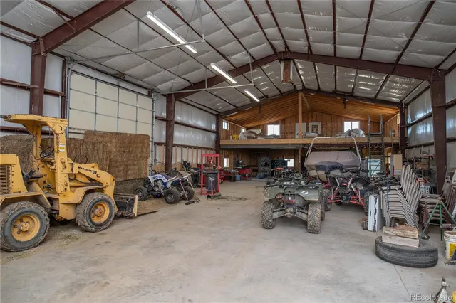 a view of backyard with potted plants