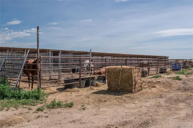 a front view of a house with basket ball court and outdoor seating