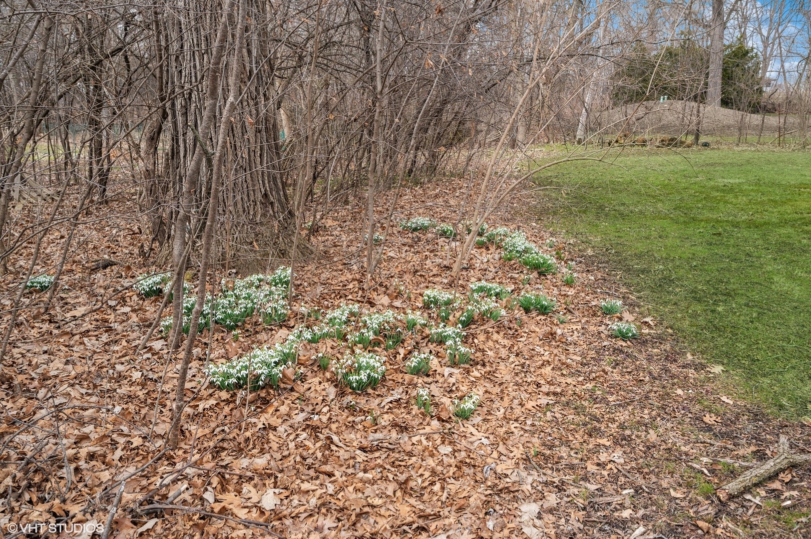 1628 South Meacham Road Rolling Meadows, IL 60008 - Photo 18 of 27 a view of outdoor space with trees all around