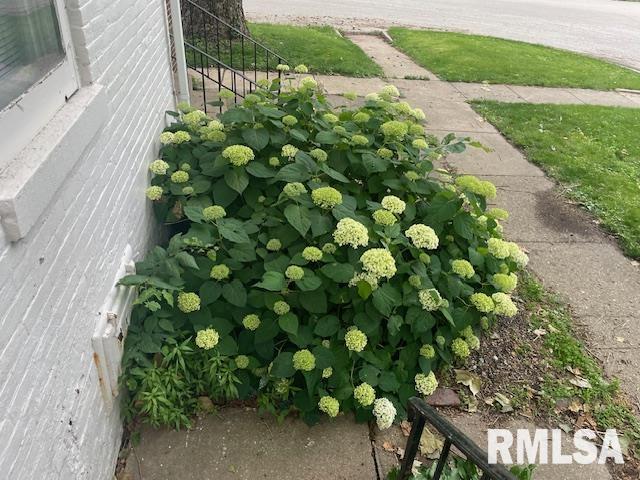 930 North 8th Street Springfield, IL 62702 - Photo 23 of 24