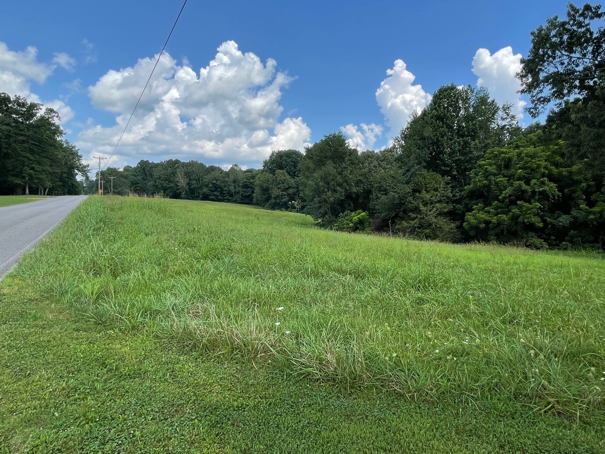 7290 Chestnut Ridge Road Winchester, TN 37398 - Photo 4 of 13 a view of a big yard with potted plants and a large tree