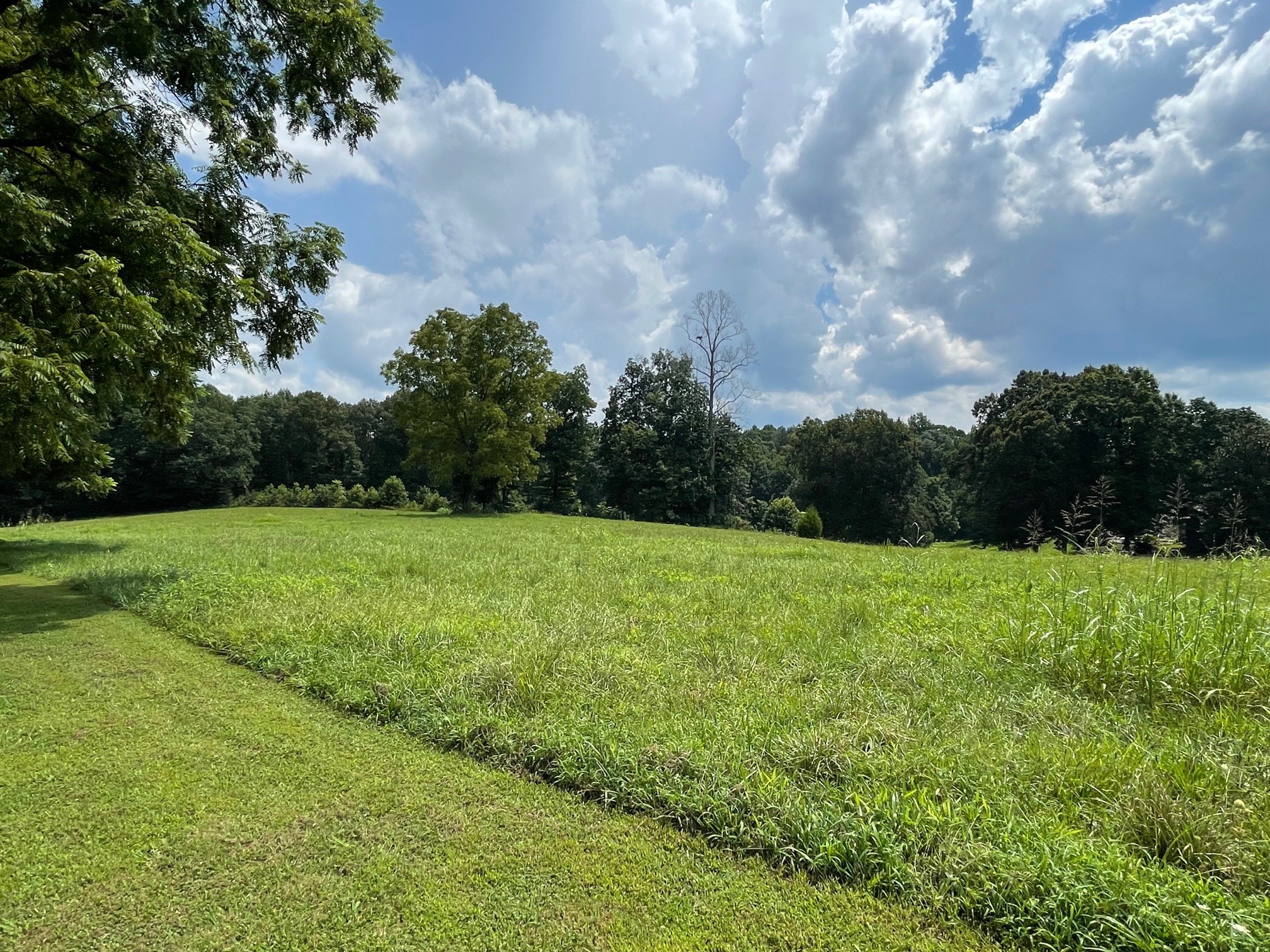 7290 Chestnut Ridge Road Winchester, TN 37398 - Photo 9 of 13 a view of outdoor space and yard
