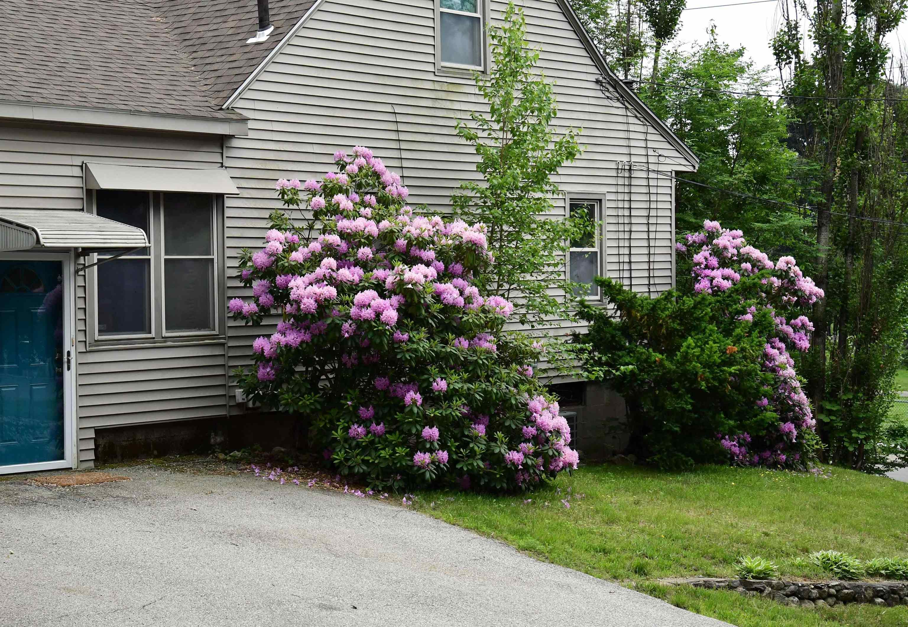 495 Calef Road Manchester, NH 03103 - Photo 22 of 30