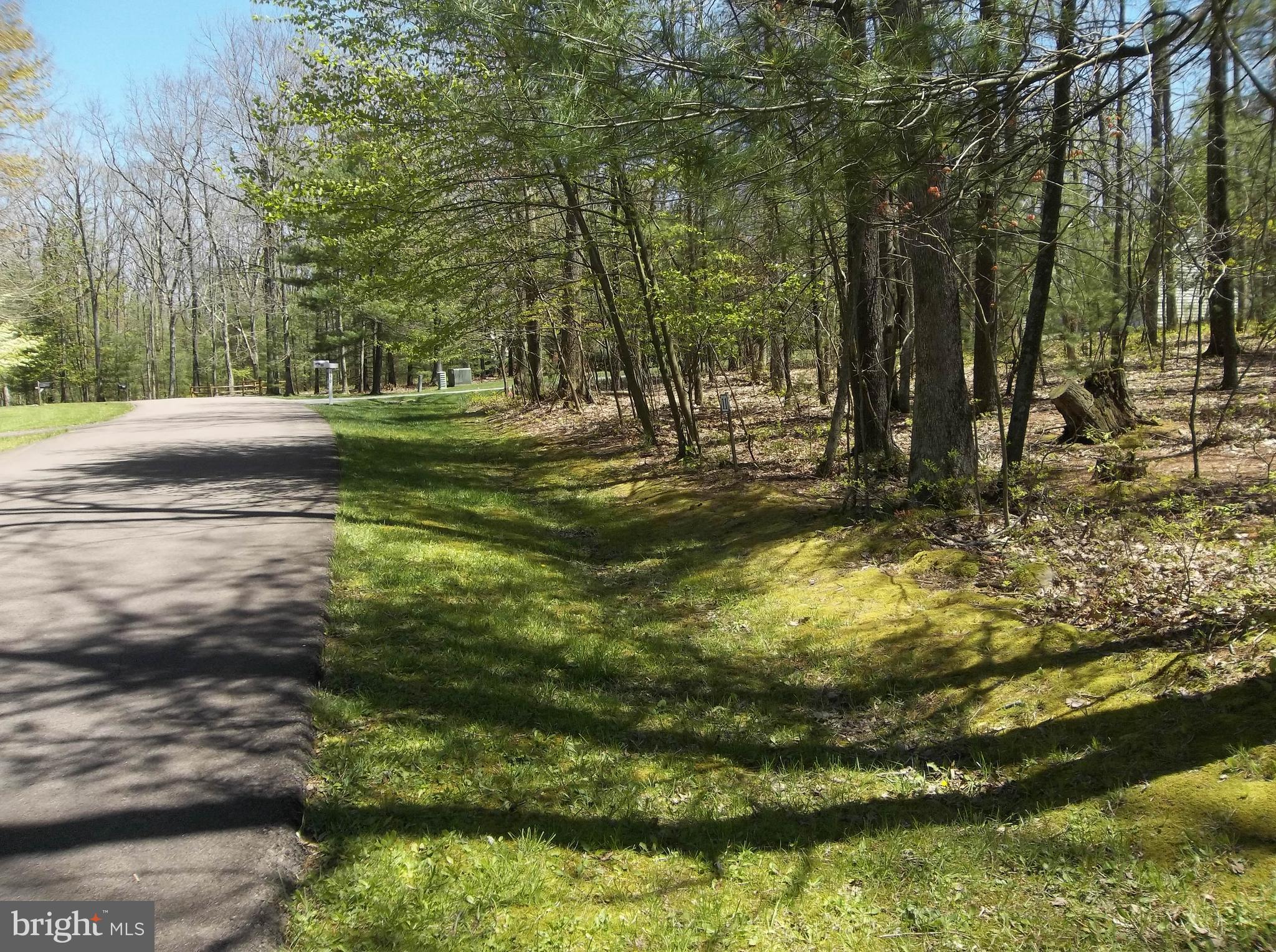 Alternate Street View