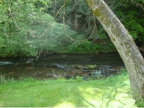 1925 King Springs Road Johnson City, TN 37601 - Photo 18 of 24 back w creek